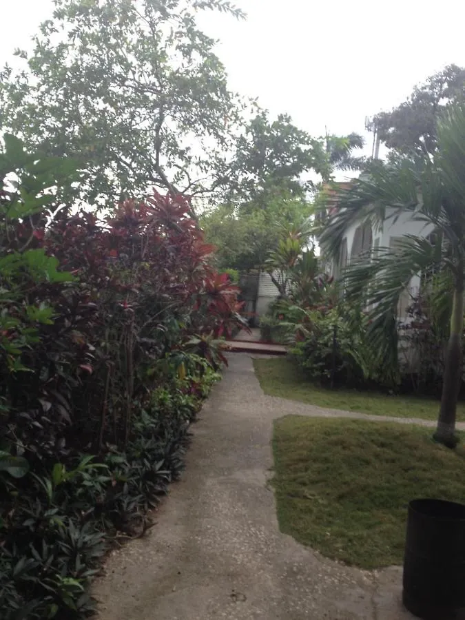 15 Min From The Airport In Kingston Jamaica Apartment Homestay